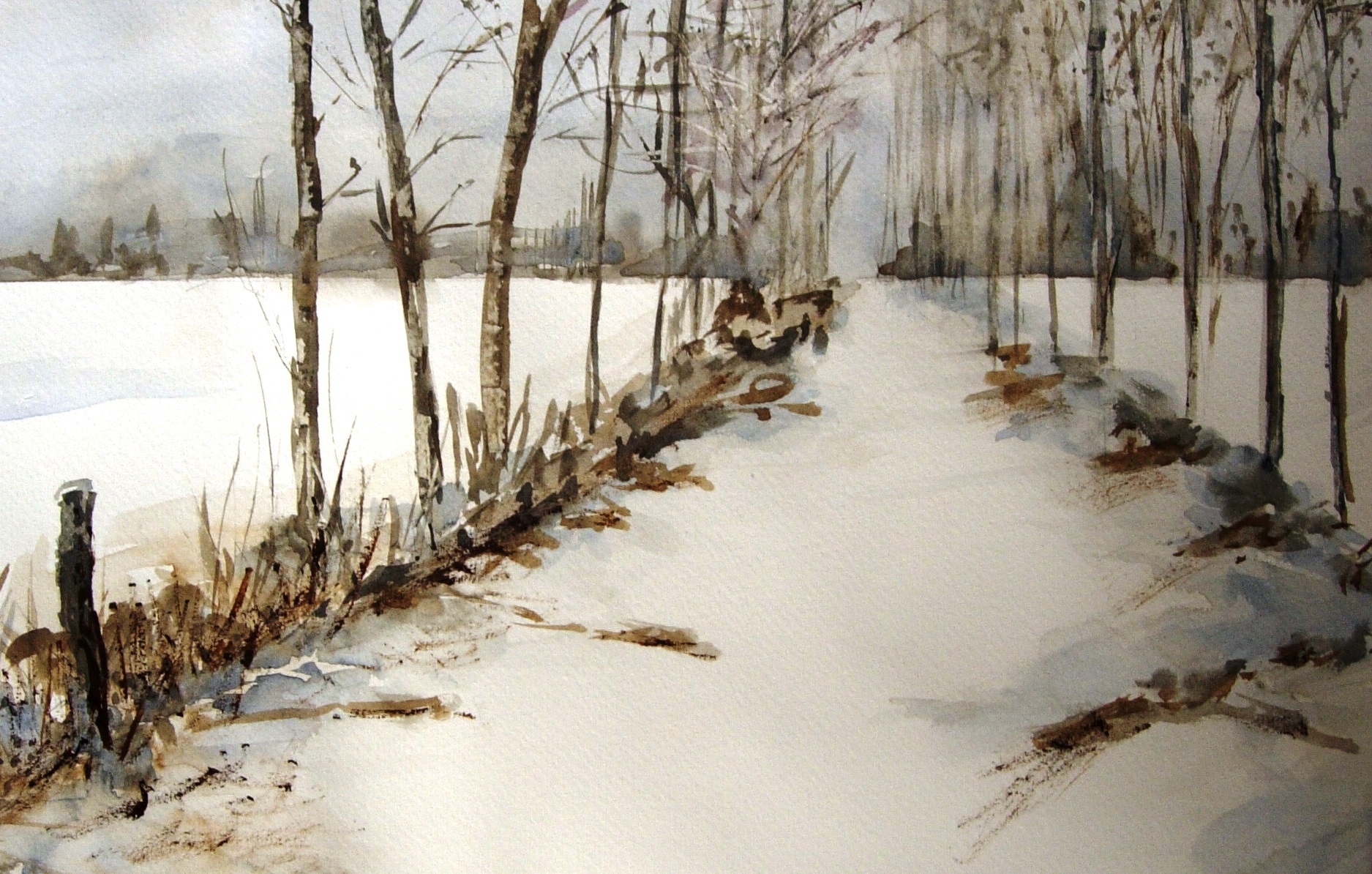 Serie paesaggi con neve